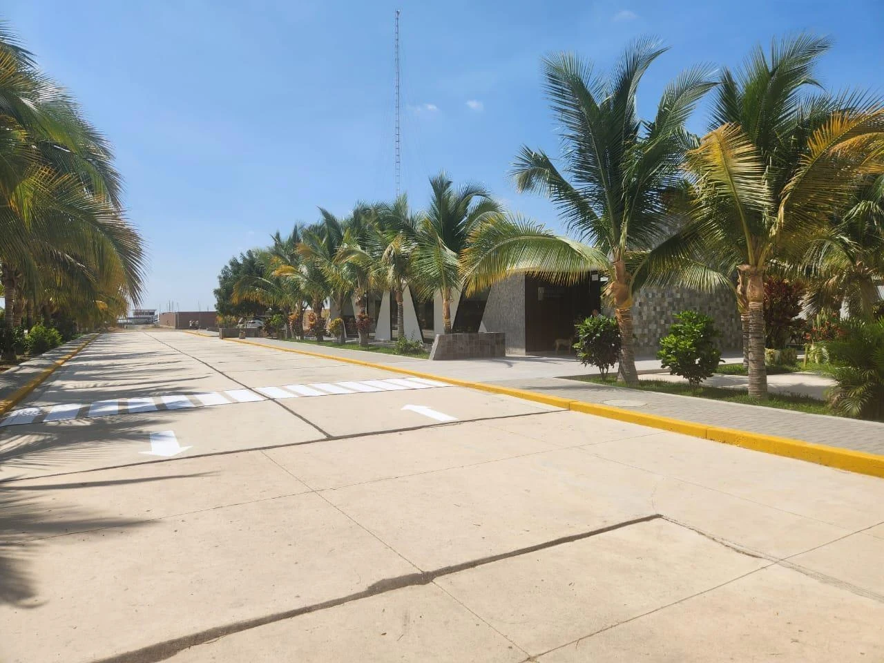 Vía pavimentada con veredas y áreas verdes, fotografía del brochure